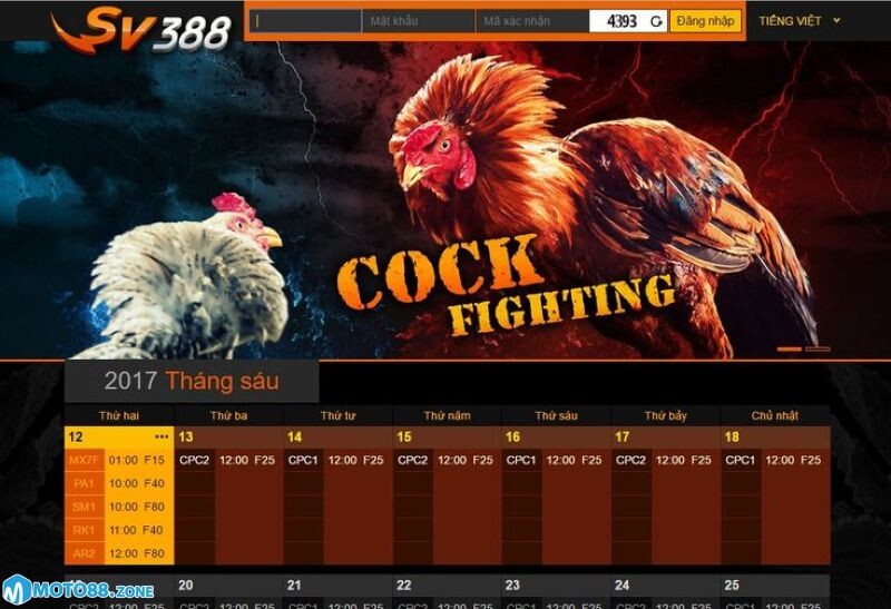 Đá gà Sv388 là website đá gà trực tuyến hot nhất hiện nay