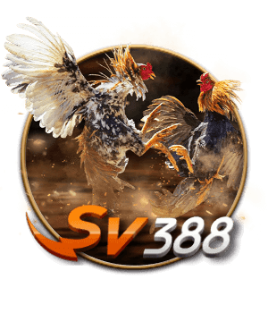 đá gà Sv388 Moto88