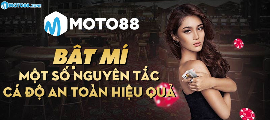 Moto88 hoạt động uy tín trên thị trường